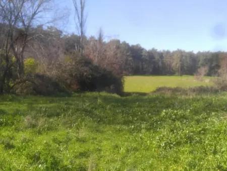 Land For Sale In Bargain Detached Zeytinalani