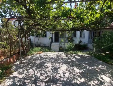 2 1 Roof Duplex Apartment For Rent In Dalyan, Mugla – Quiet And Cool Life In Nature