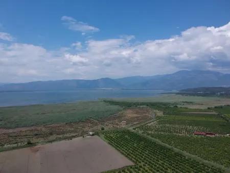 Tepearasi Oriya Bargain Between 13 700 M2 Land For Sale