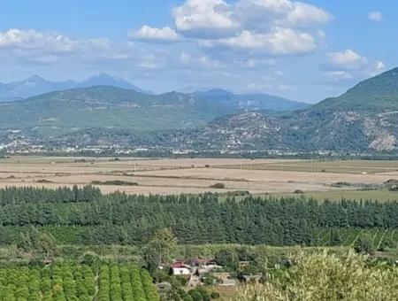 Ortaca Fevziye Sea And Nature View Bargain Detached Olive Grove For Sale