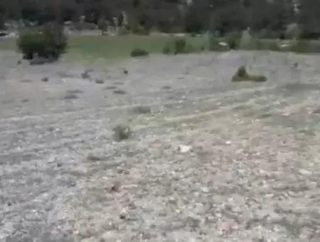 1770 M2 Field For Sale In Çameli Ayvacık
