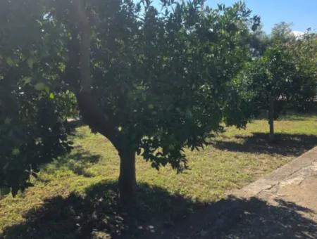 2 1, 70 M2 Village House For Sale On 902 M2 Land Zero To Ortaca Akıncı Sarıgerme Road