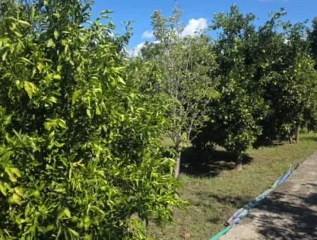 2 1, 70 M2 Village House For Sale On 902 M2 Land Zero To Ortaca Akıncı Sarıgerme Road