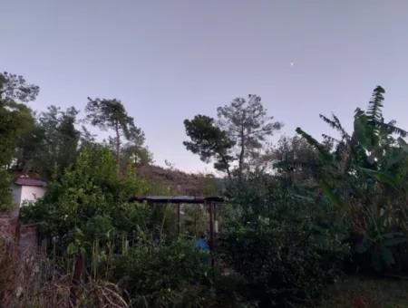 350 M2 Detached Tiny House Suitable Land For Sale In Ortaca Çaylı