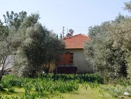 Villa For Sale Bargain Ortaca In The Plot