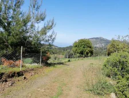 Muğla Ortaca Gökbelde 3200 M2 Shared Land For Sale