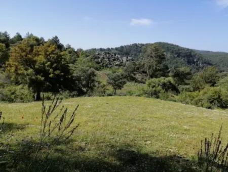 Muğla Ortaca Gökbelde 3200 M2 Shared Land For Sale