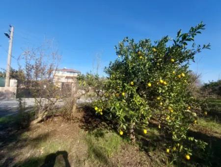 4 500 M2 Land With 150 M2 Construction Right In Muğla Dalyan For Sale Or Exchange For Villa From Dalyan