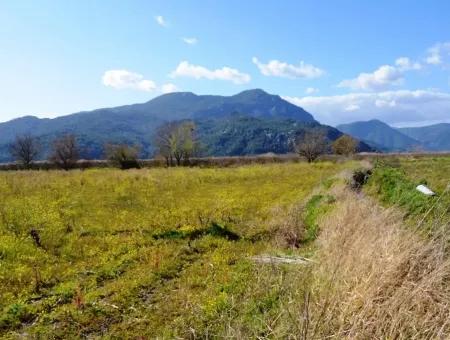 Farm For Sale Bargain In Dalyan