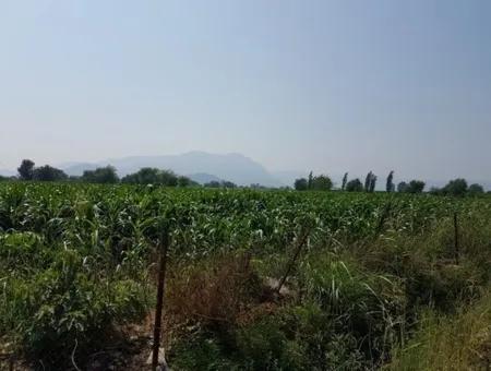 3000 M2 Land Suitable For Investment For Sale In Mugla Ortaca Archers