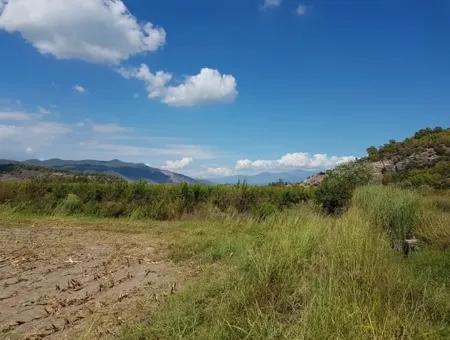 Fertile Land For Sale In Famagusta Bargain
