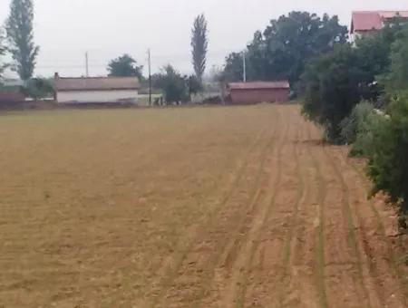 Commercial Zoned Land For Sale In Aydin Incirliova Diabetes