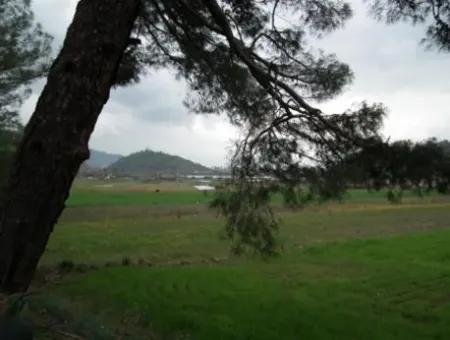 10,000 M2 Of Land Suitable For Investment Is For Sale In Ortaca Gölbasi