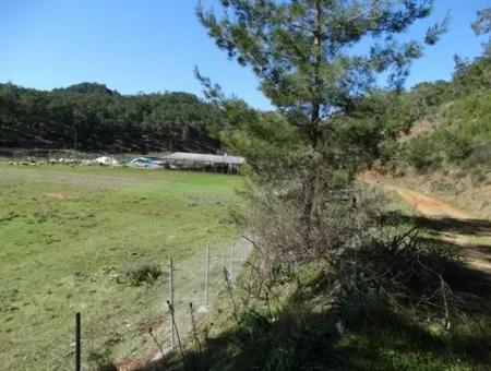 10,000 M2 Of Land Suitable For Investment Is For Sale In Ortaca Gölbasi
