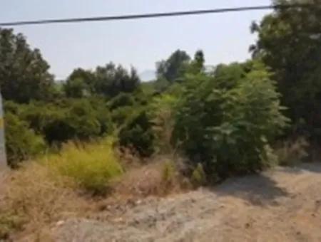 From The Main Road Land For Sale In Koycegiz Zeytinalani Zero