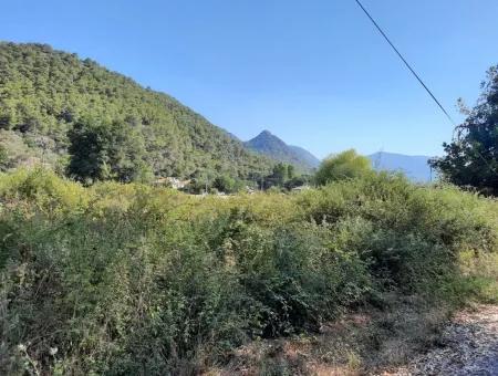 Vineyard Garden Zoning Land For Sale In Gocek Inlice