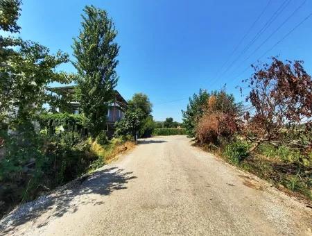 Efficient Field For Sale In Koycegiz