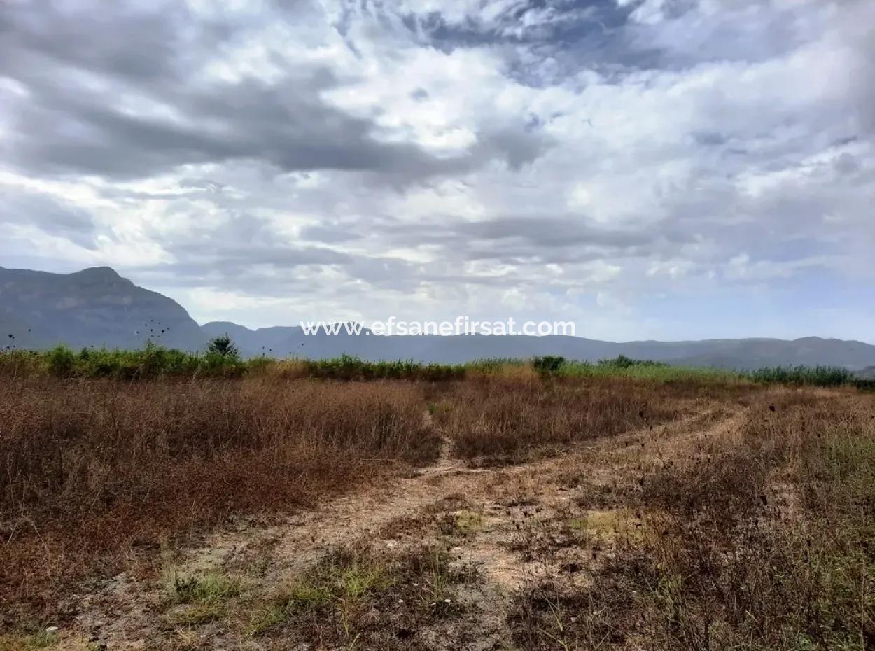 Ortaca Eskiköyde Satılık Verimli Arazi