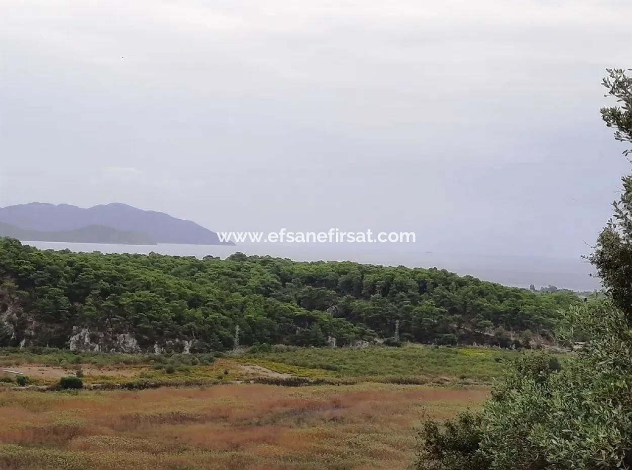 Muğla Sarıgermede Satılık Deniz Manzaralı Arsalar
