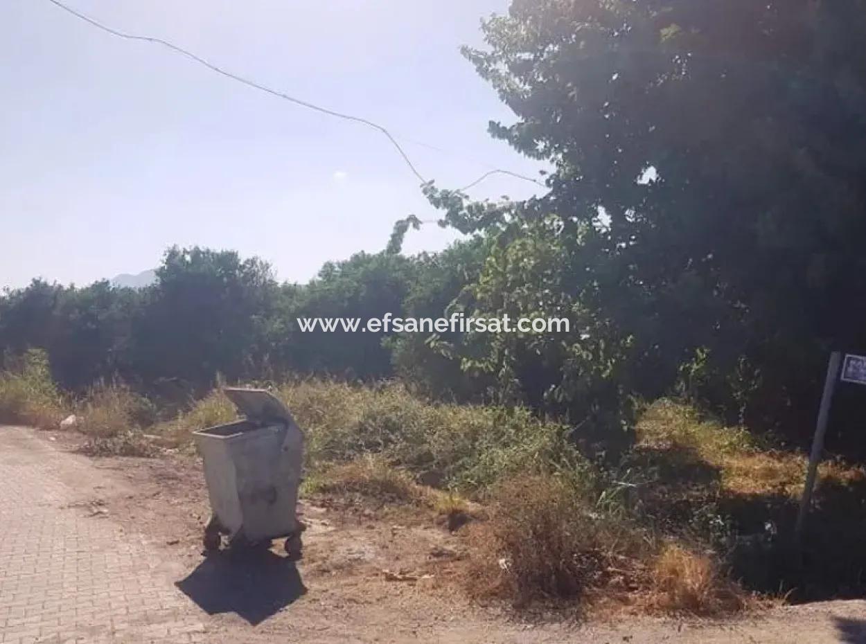 Köyceğiz Toparlarda 2 750 M2 Müstakil Arsa Satılık