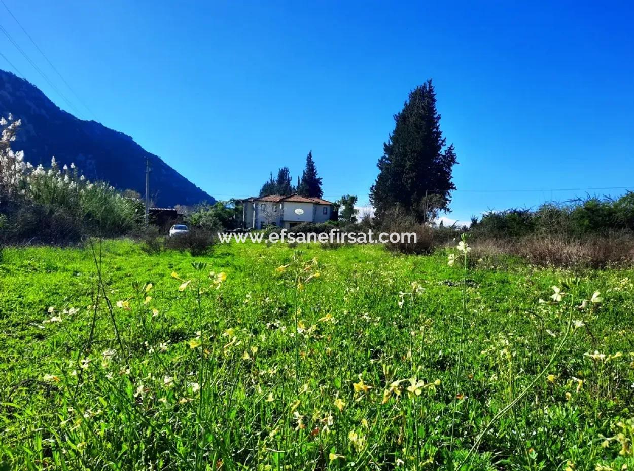 Muğla Ortaca Dalyanda Satılık Yol Cepheli 9300 M2 Yatırıma Uygun Verimli Arazi