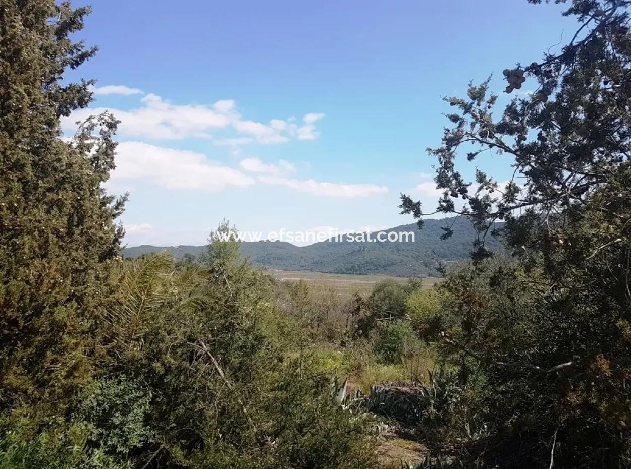 Sarıgerme De Satılık Kelepir Arsa, 2616 M2, 6 Müstakil Parsel