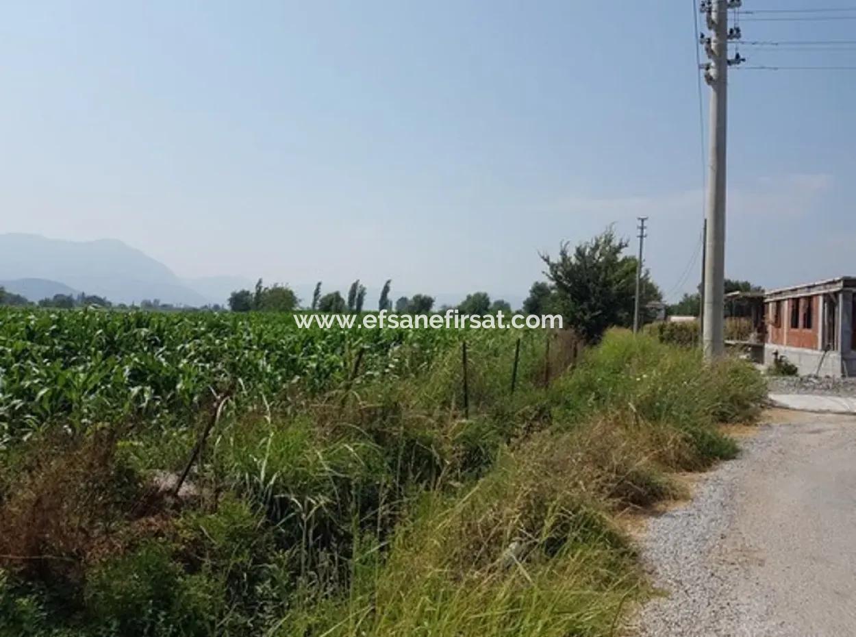 Muğla Ortaca Okçularda Satılık Müstakil 15000 M2 Verimli Arazi