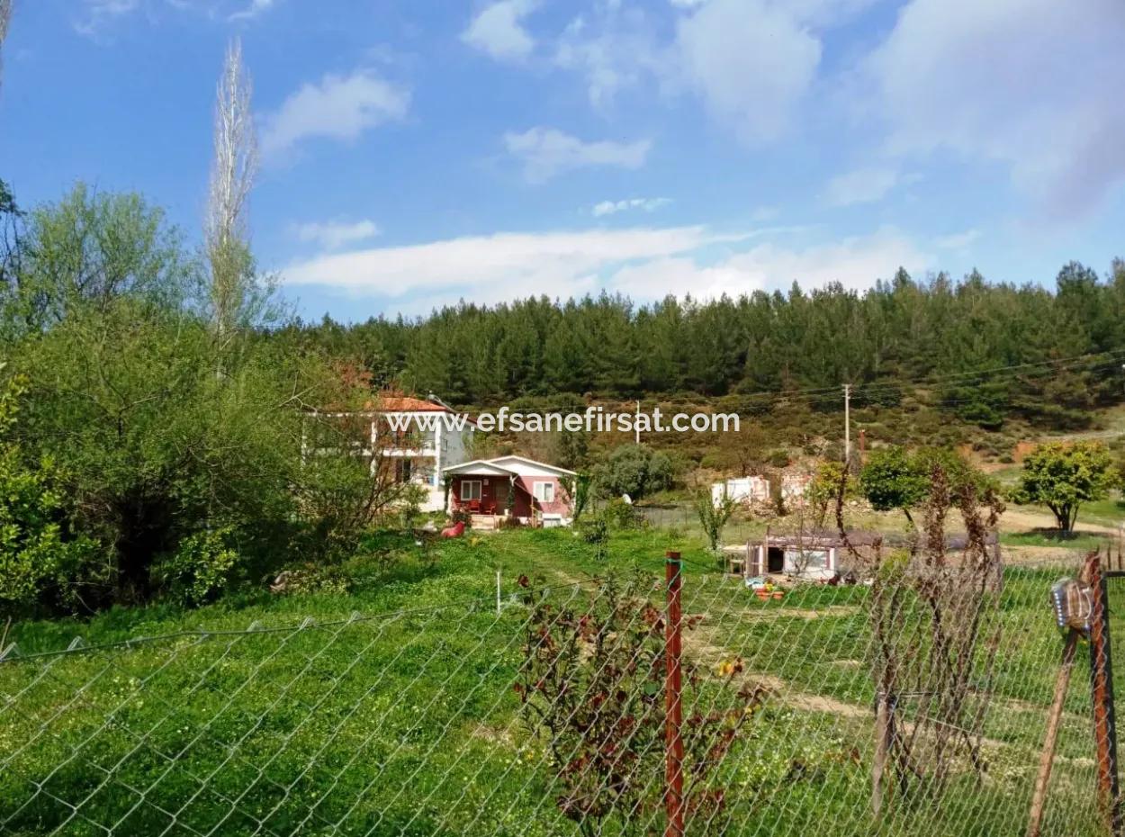 Muğla Köyceğiz Köyceğiz Mah.de 1026 M2 Müstakil Arsa Satılık