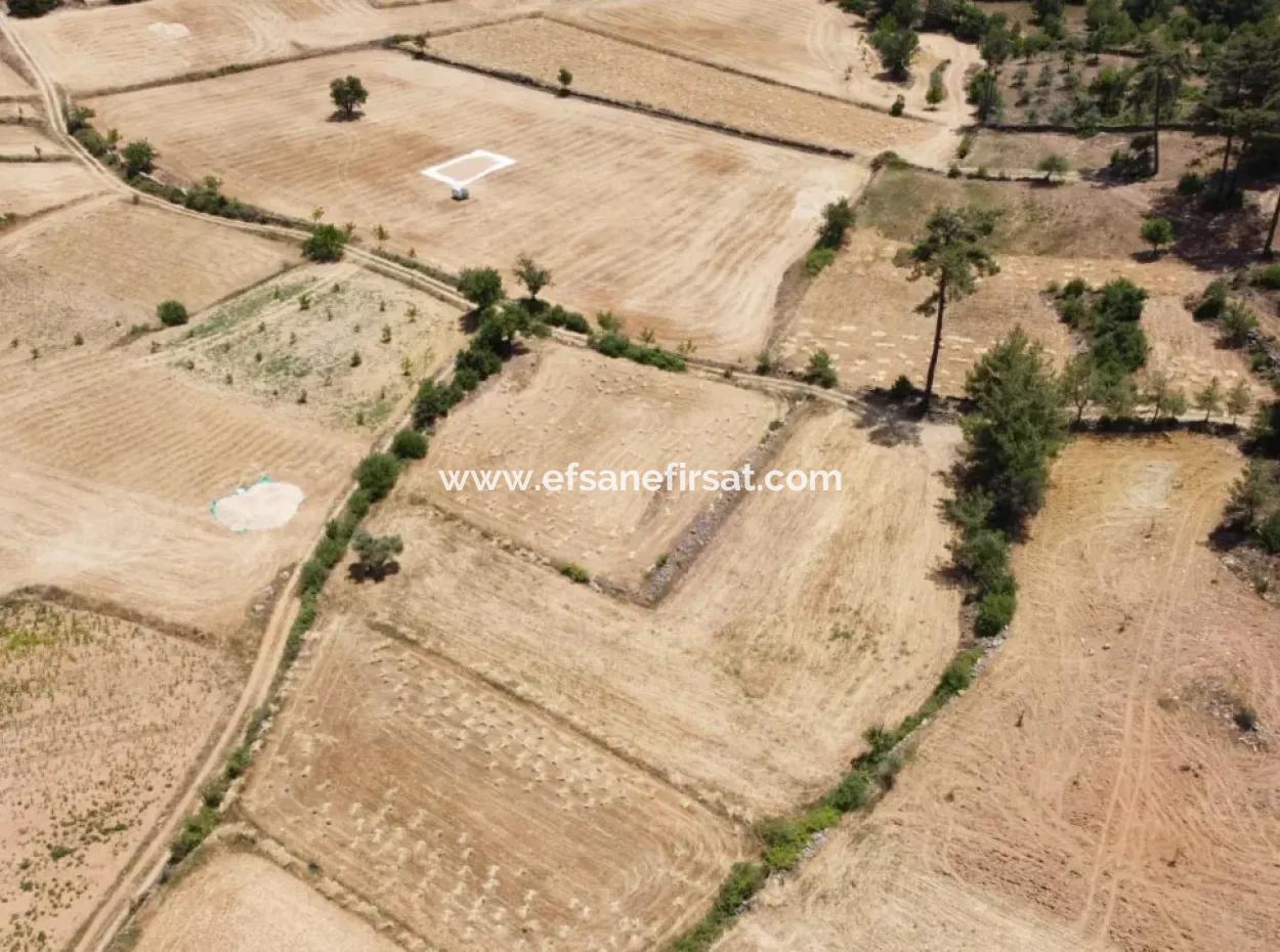 Muğla Menteşe Denizovada 1869 M2 Kelepir Tarla Satılık