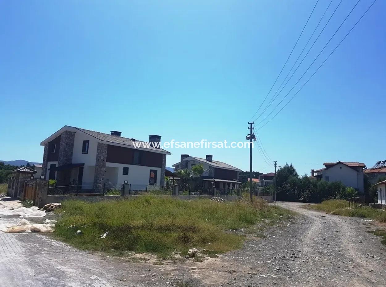 Toparlarda Satılık Mandalina Bahçesi