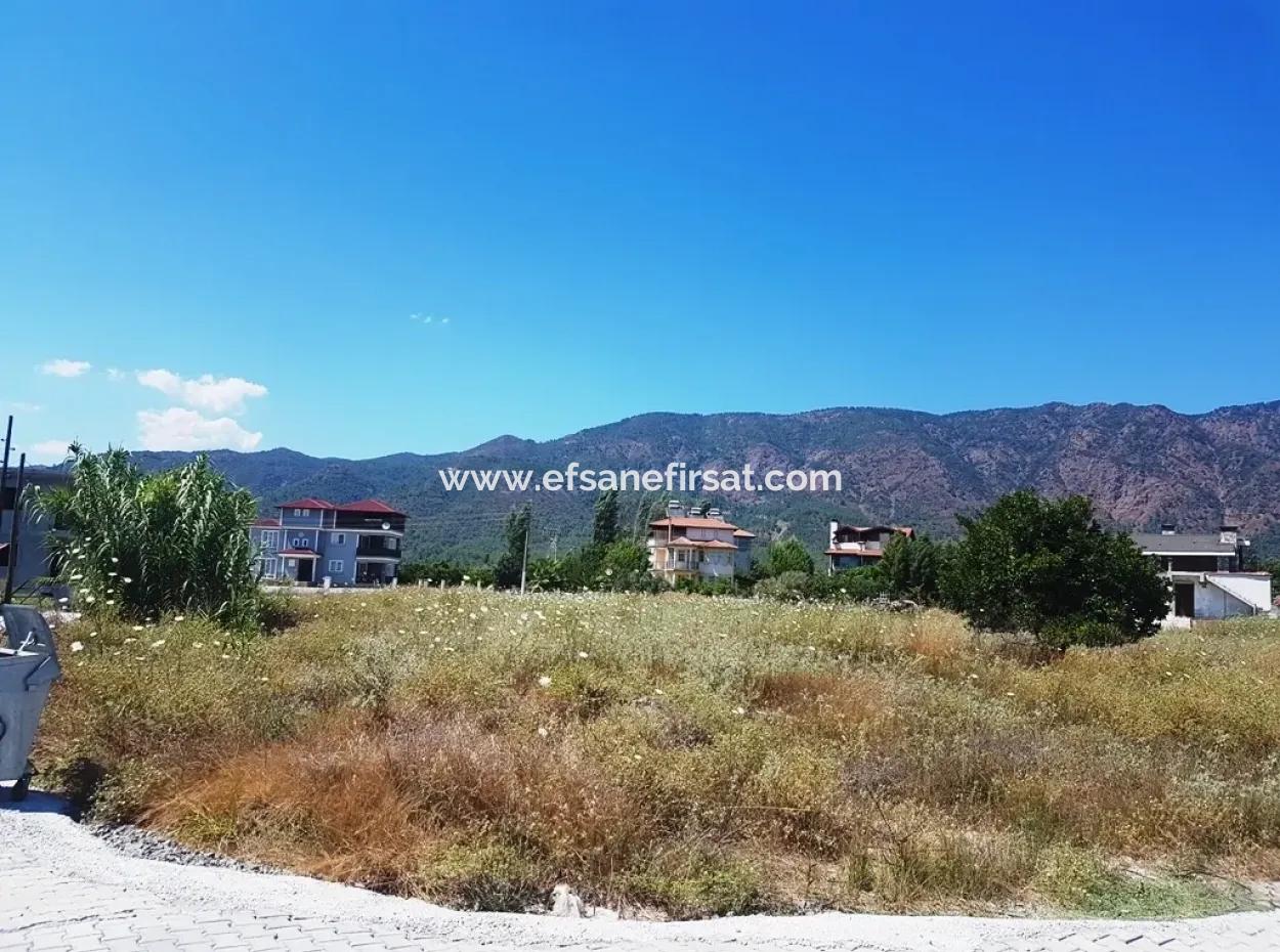 Toparlarda Satılık Mandalina Bahçesi