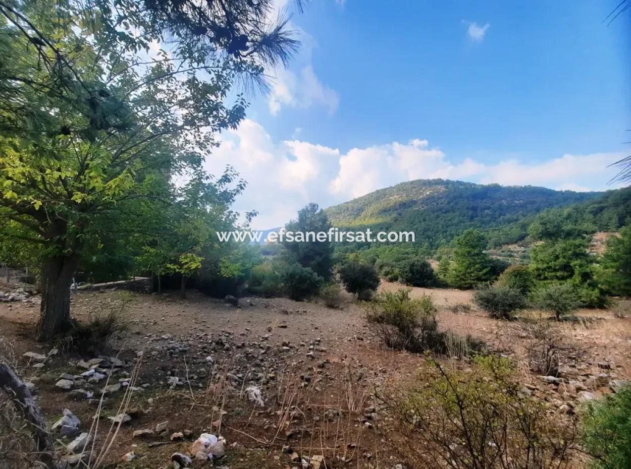 Muğla Dalyan Gökbelde 320 M2 Kelepir Arazi Satılık