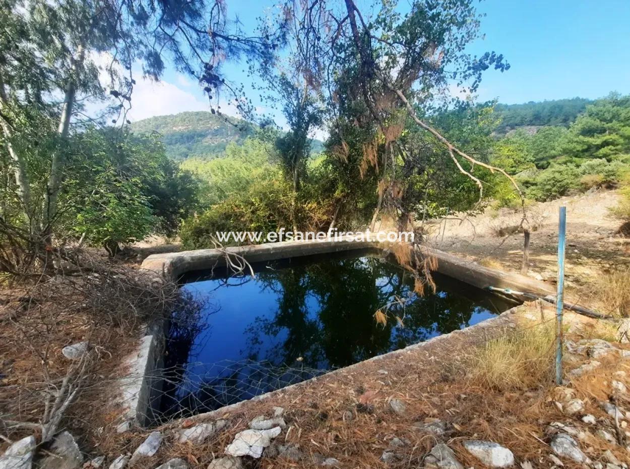 Muğla Dalyan Gökbelde 320 M2 Kelepir Arazi Satılık