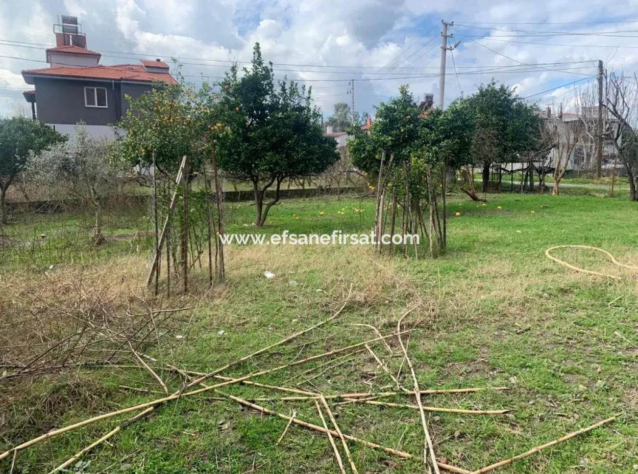 Muğla Ortacada 317 M2 % 30 İmarlı Arsa Satılık