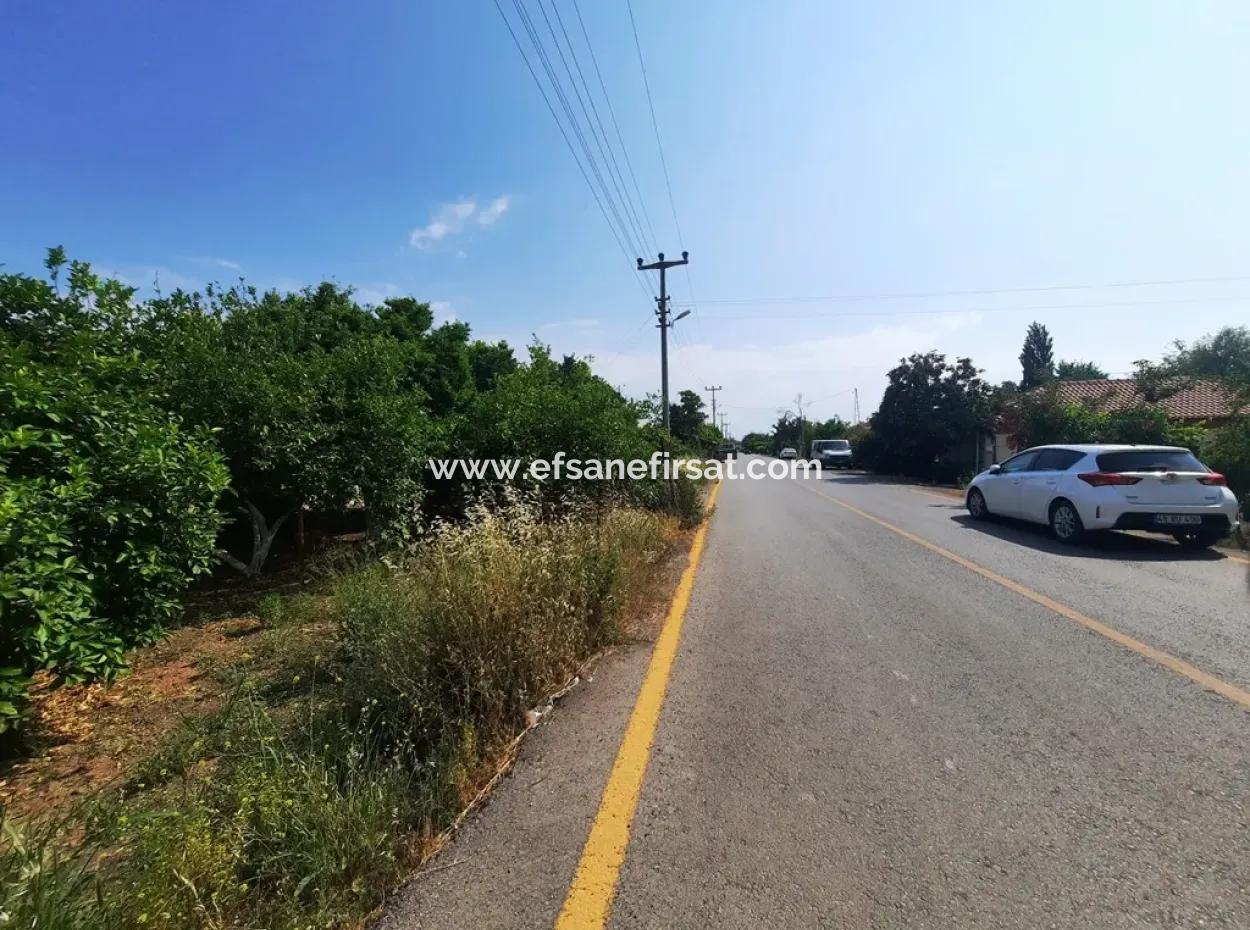 Ortaca Akıncıda Satılık 2500 M2 Arsada Köy Evi