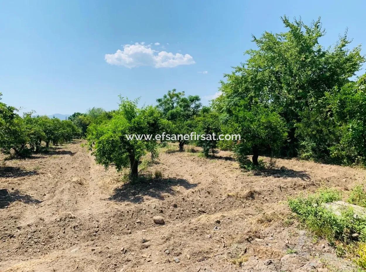 Toparlarda Satılık Arsa