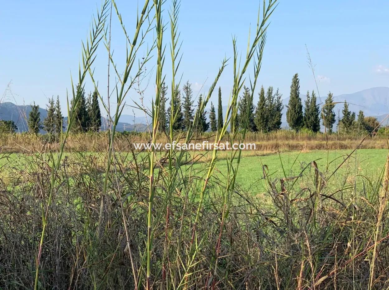 Ortaca Güzelyurt Da Kelepir 28.394 M2 Nin 3000 M2 Si Tarla Satılık