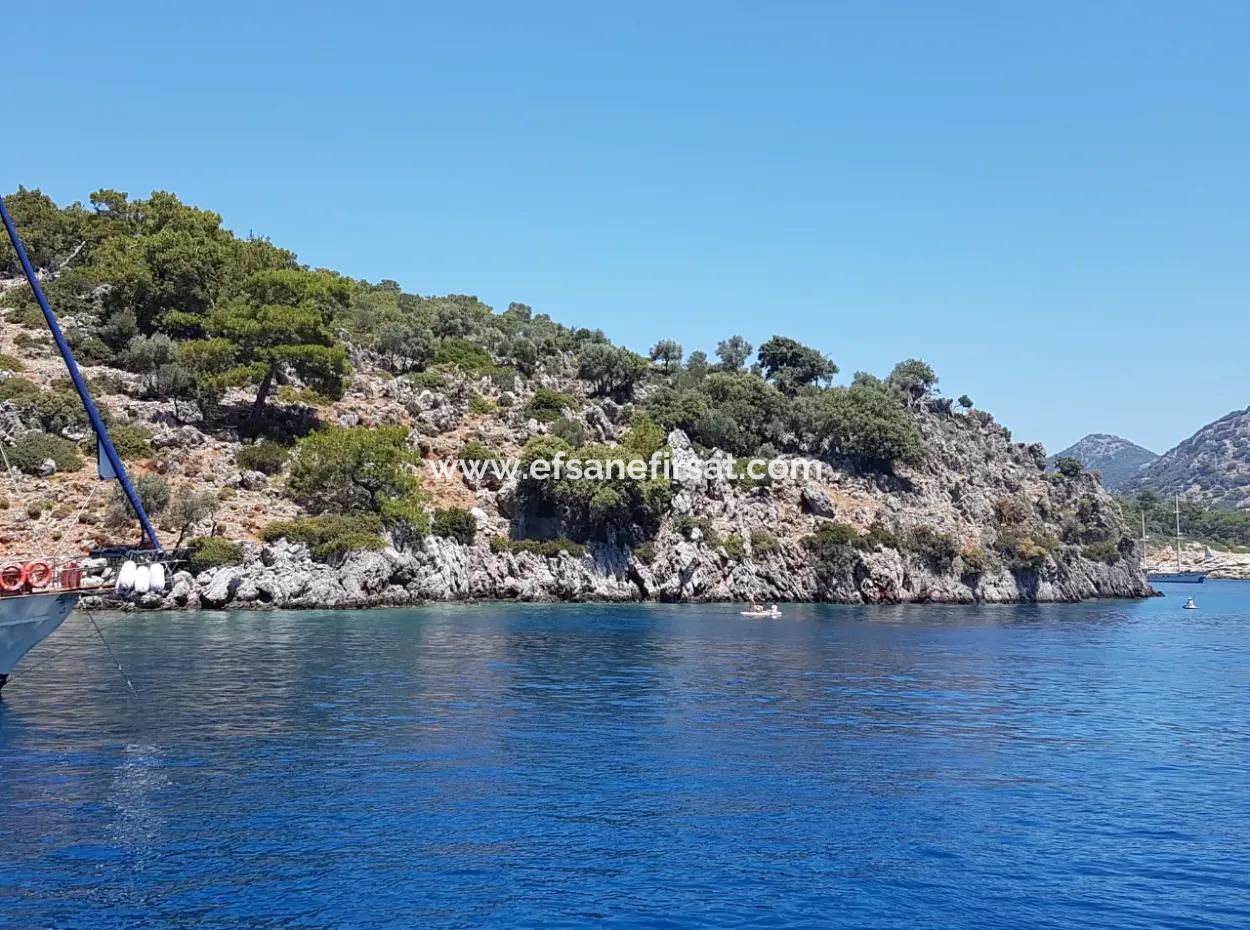 Fethiye Göcek Adasında Deniz Sıfır Konumda 2600 M2 Zeytinlik Satılık