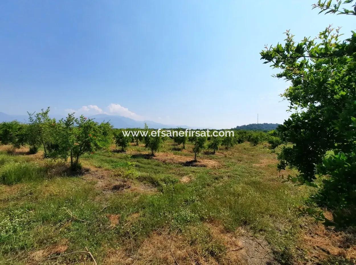 Muğla Ortaca Tepearasında Satılık Kelepir Müstakil 22 250 Arazi