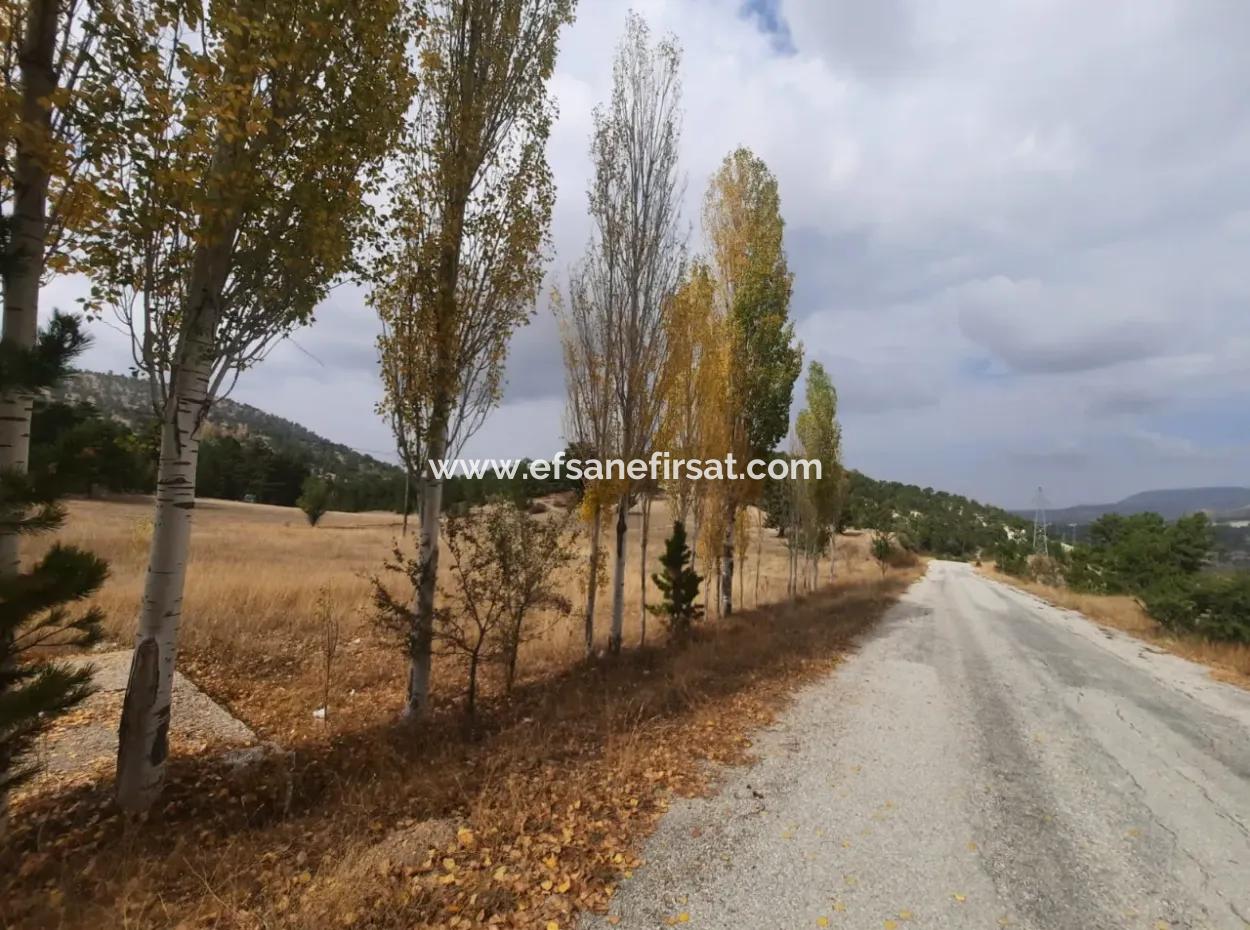 Çameli Cumalanında Eski Acıpayam Yoluna Sıfır Müstakil  6 230 M2 Arazi Satılık Veya Takas