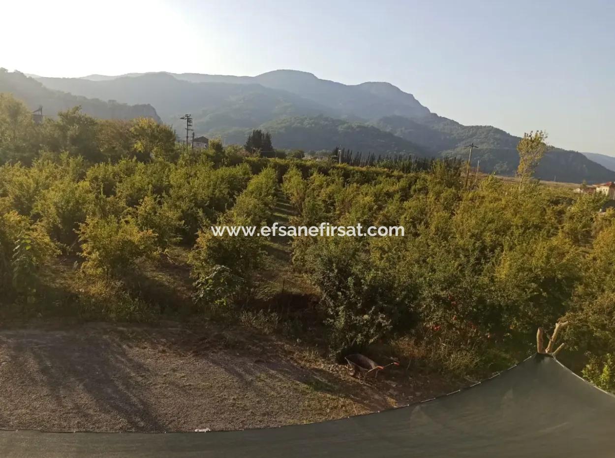Dalyan Da Ticari İmarlı 4 700 M2 Dükkan Ve Otel Arsası Satılık