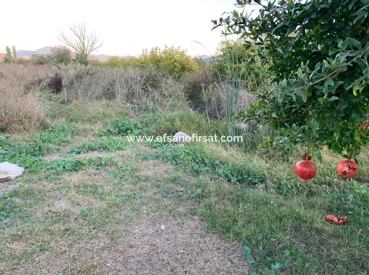 Ortaca Güzelyurt Da 26.200 M2 Müstakil Tarla Ve 3.000 M2 Satılık