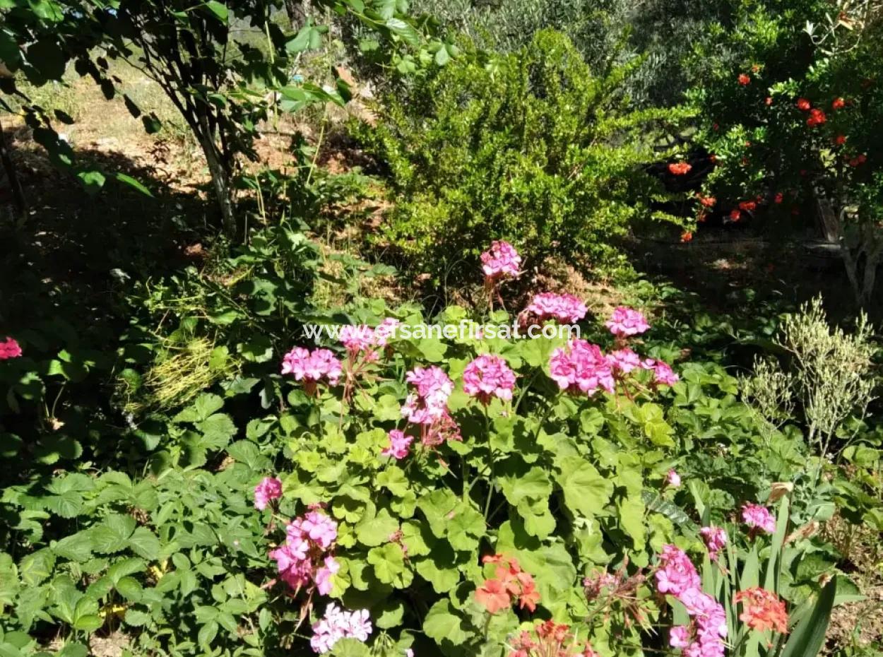 Ortaca Cumhuriyet Mah. 357 M2 Arsa İçinde 3 Katlı Ev Komple Satılık