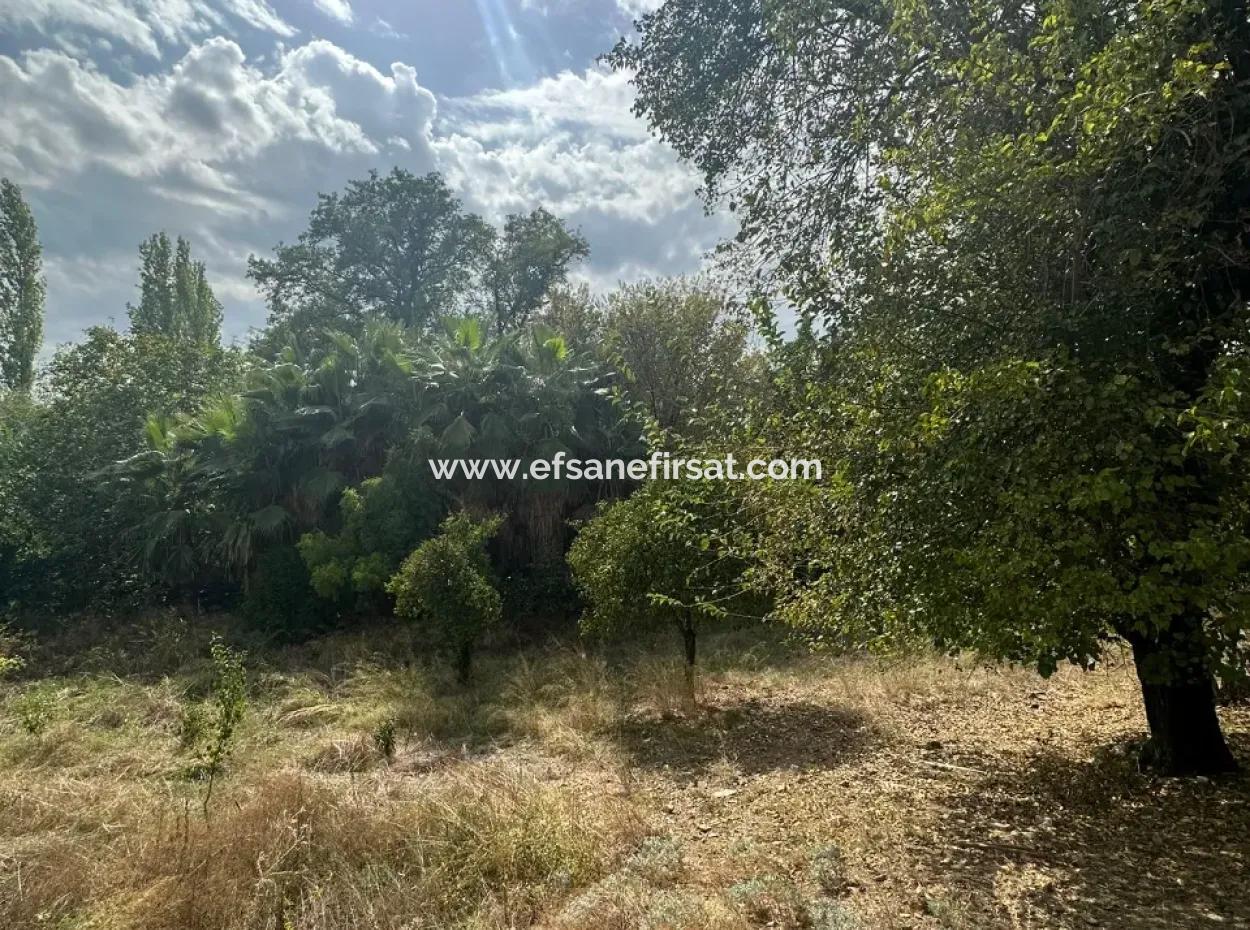 Köyceğiz De 1026 M2 Arsa Satılık