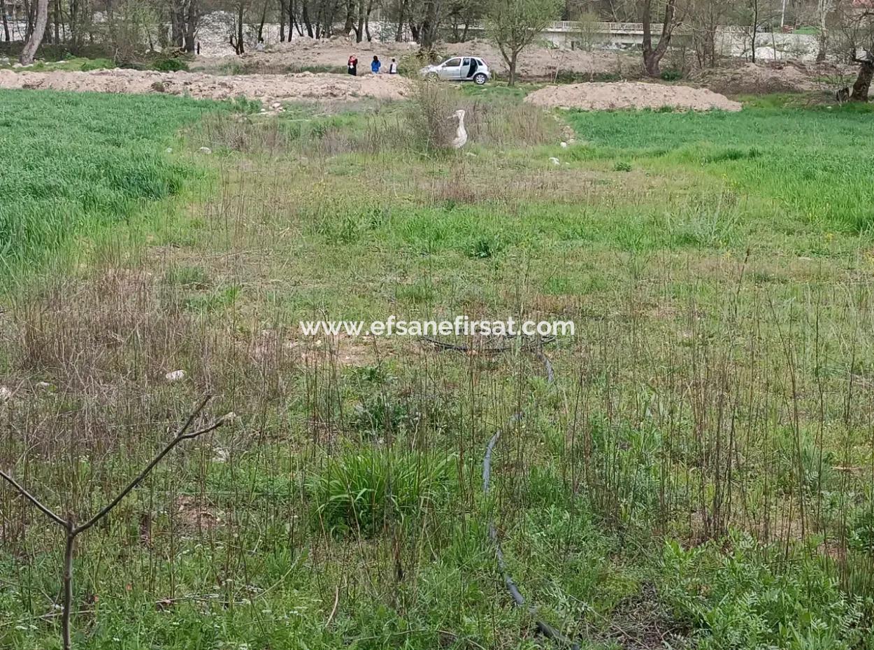 Çameli Kirazlıyaylada 1450 M2 Verimli Müstakil Arazi Satılık