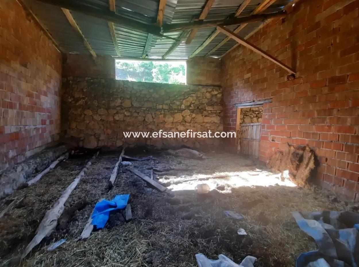 Çameli Kızılyaka Da 5 000 M2 Arazide 2+1 Müstakil Ev, Ve Ahır Kiralık
