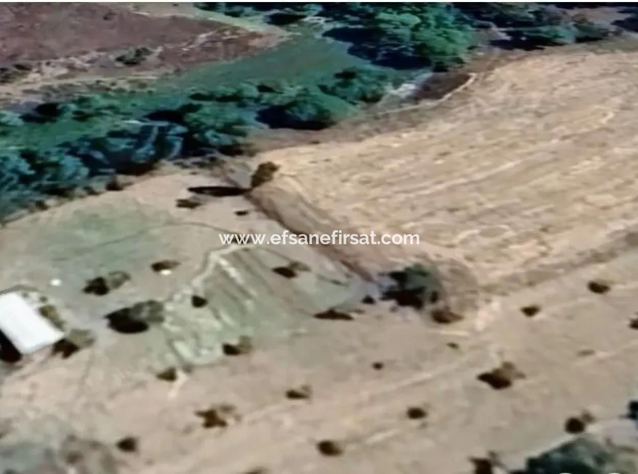 Denizli Çameli Cevizli De 3500 M2 İmarlı Ceviz Bahçesi Satılık