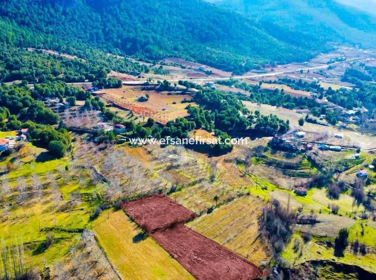 Denizli Çameli Cevizlide, 3.278 M² Fırsat İmarlı Müstakil Arazi Satılık