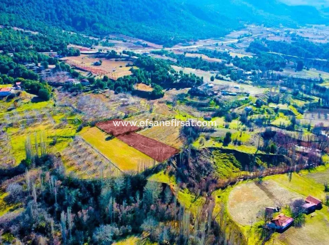 Denizli Çameli Cevizlide, 3.278 M² Fırsat İmarlı Müstakil Arazi Satılık