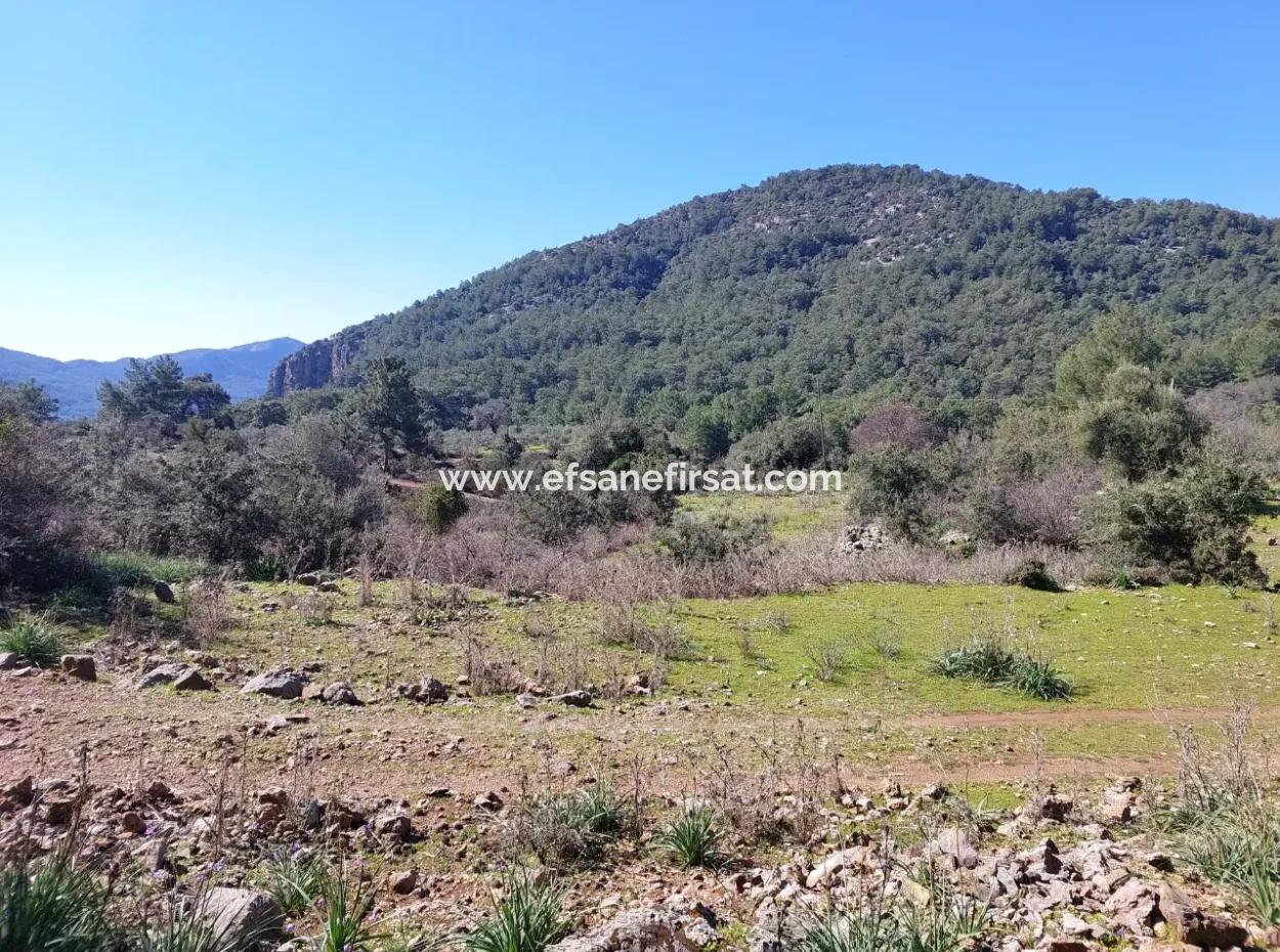 Muğla Ortaca Gökbelde Doğa İçinde 2 400 M2 Tarla Satılık